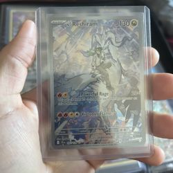 Pokemon N’s reshiram 