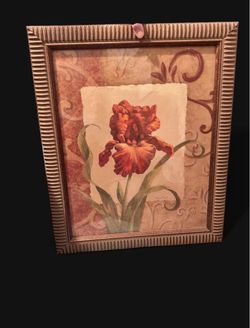 Vivian Flasch Iris vintage floral print in gold frame
