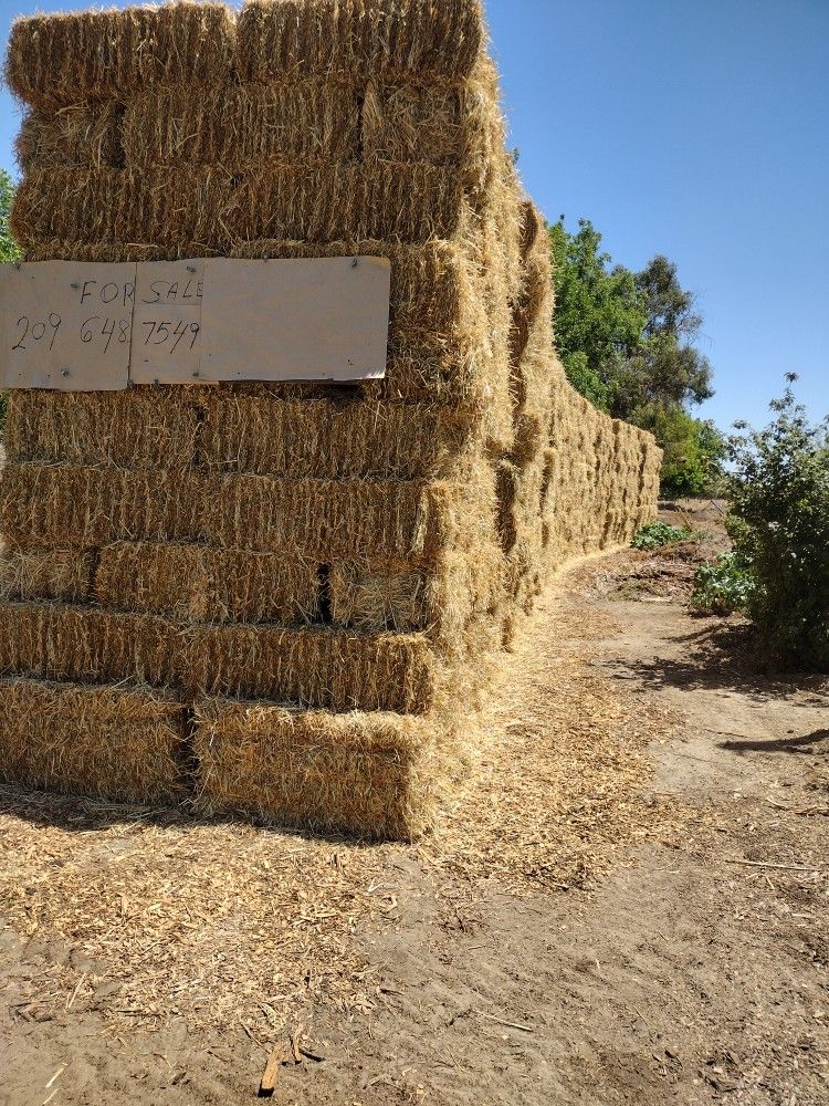 Hay