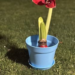 Set Of Planters🩵🪴