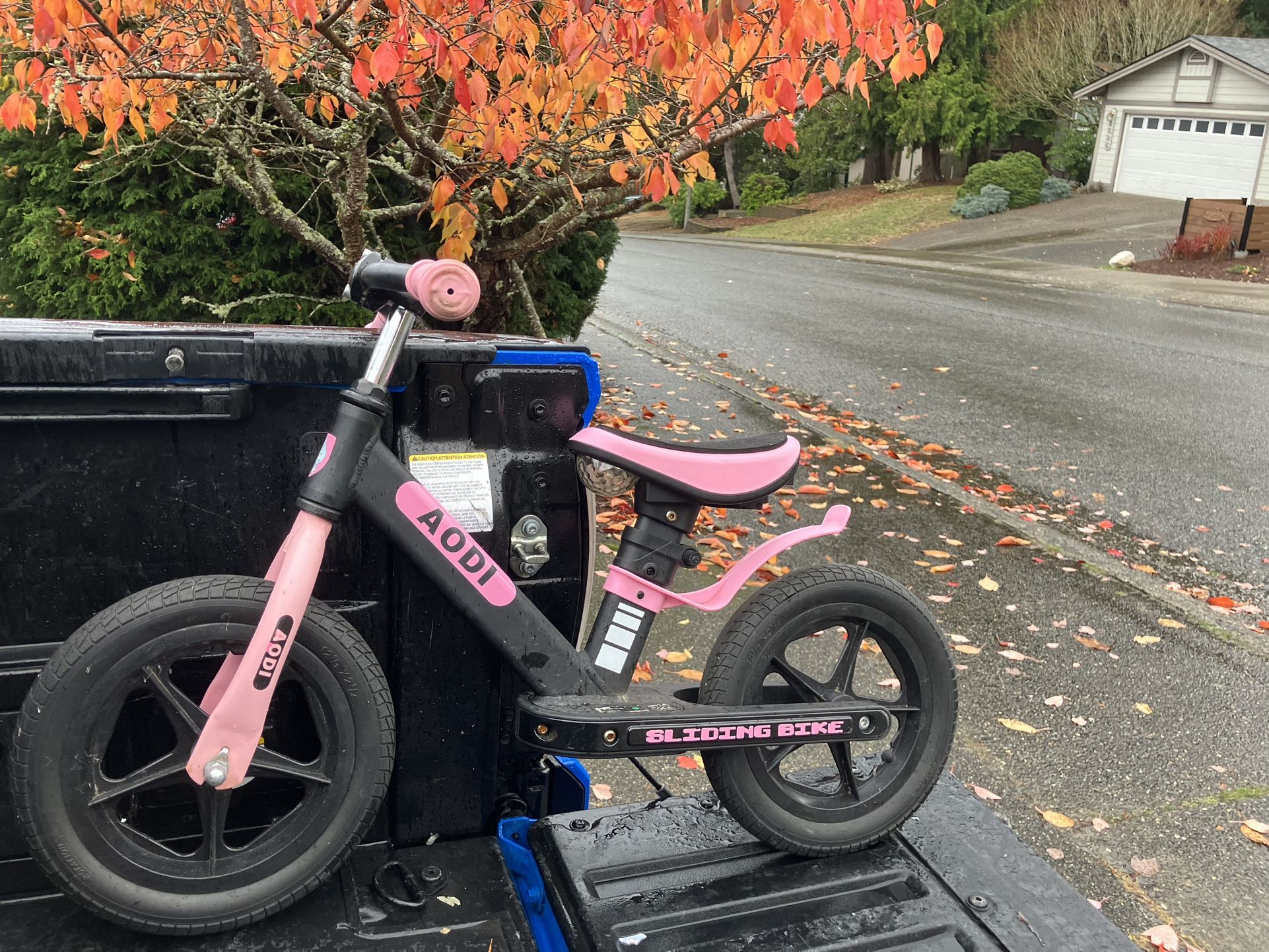 Child Kid Children Balance Bike 12” Wheels Bicycle Tricycle Trike like New