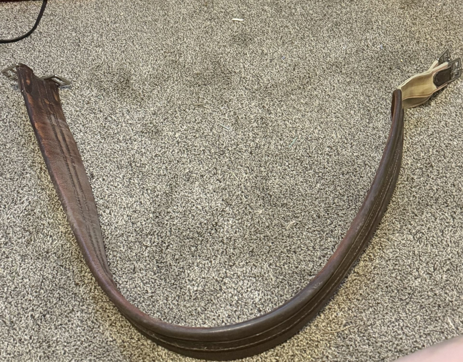 English Cinch