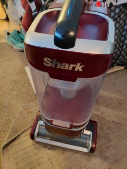Shark