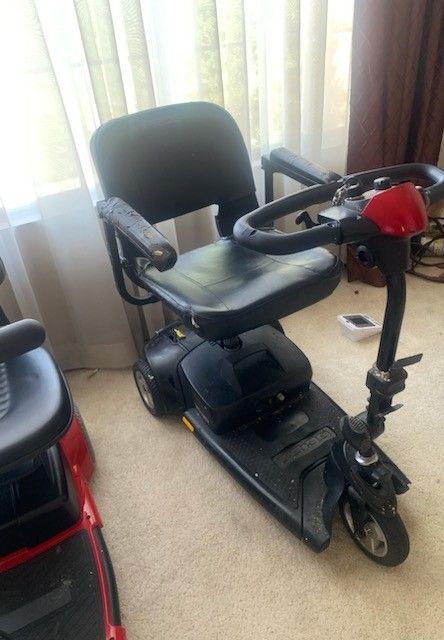 Adult Scooter