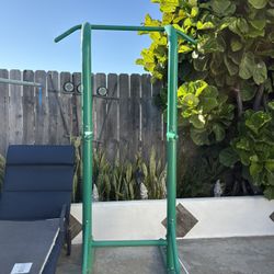 pull up bar /leg raises 