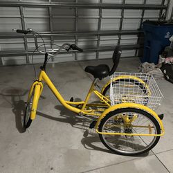 Adult Tricycle  