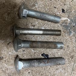 Carriage Bolts 