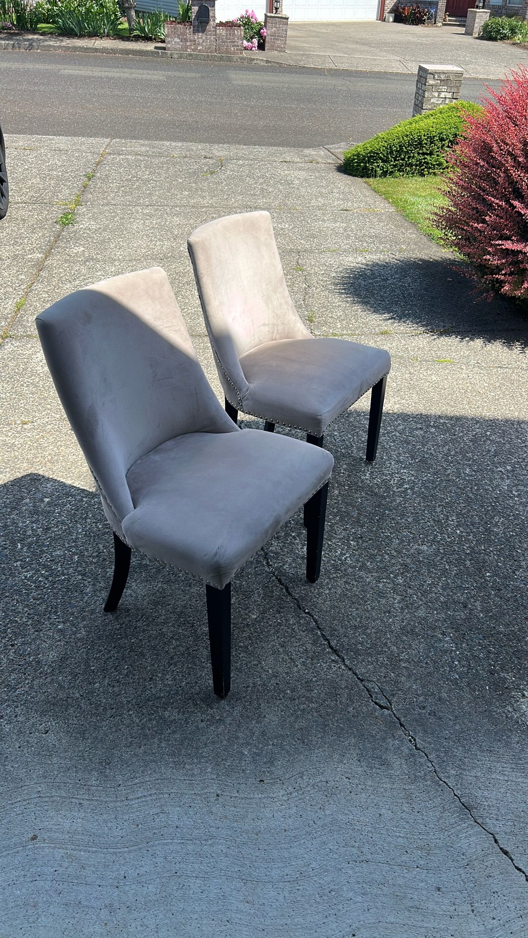 Cushioned Chairs
