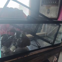 Reptile Tank