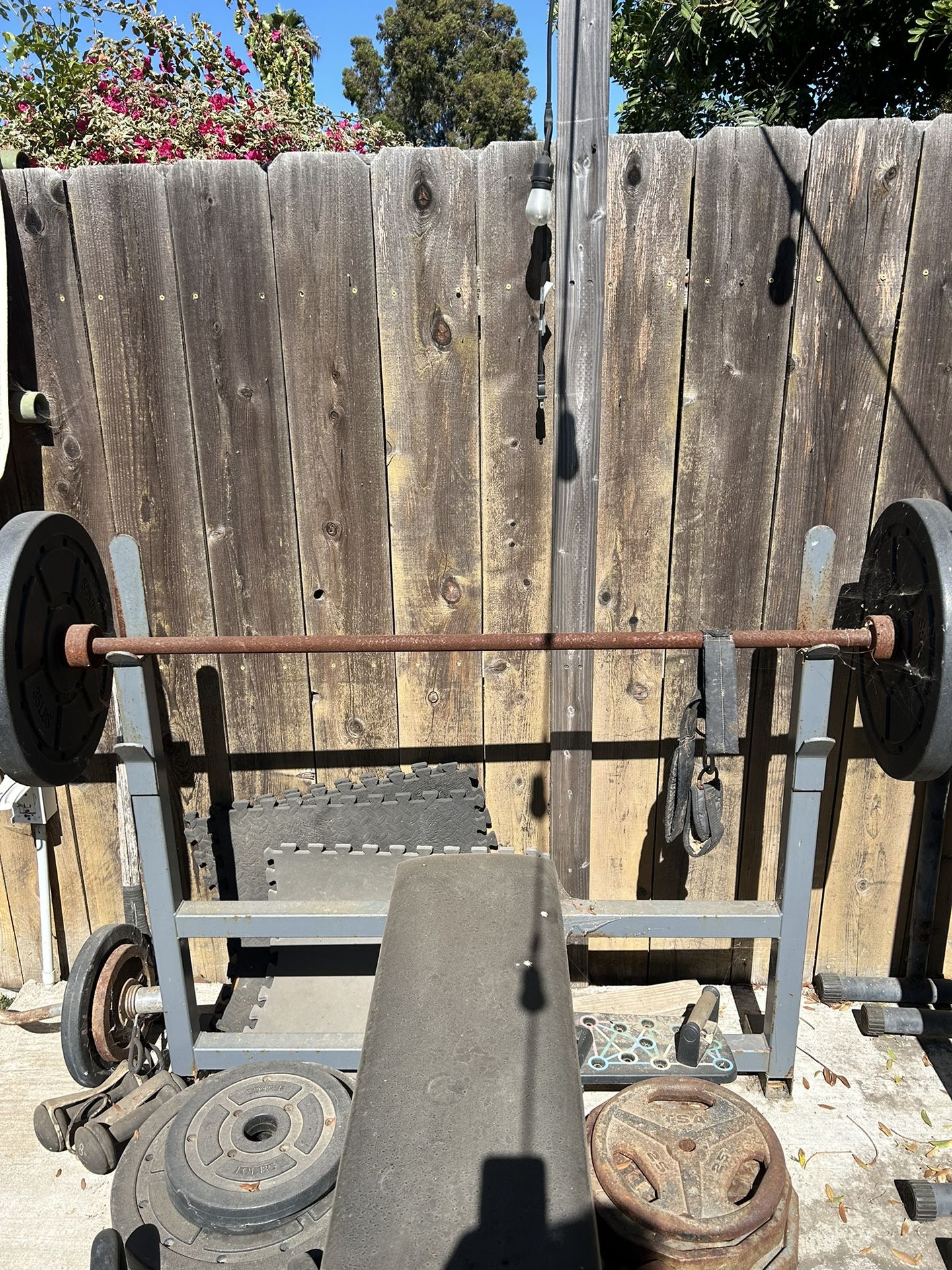 Bench Press