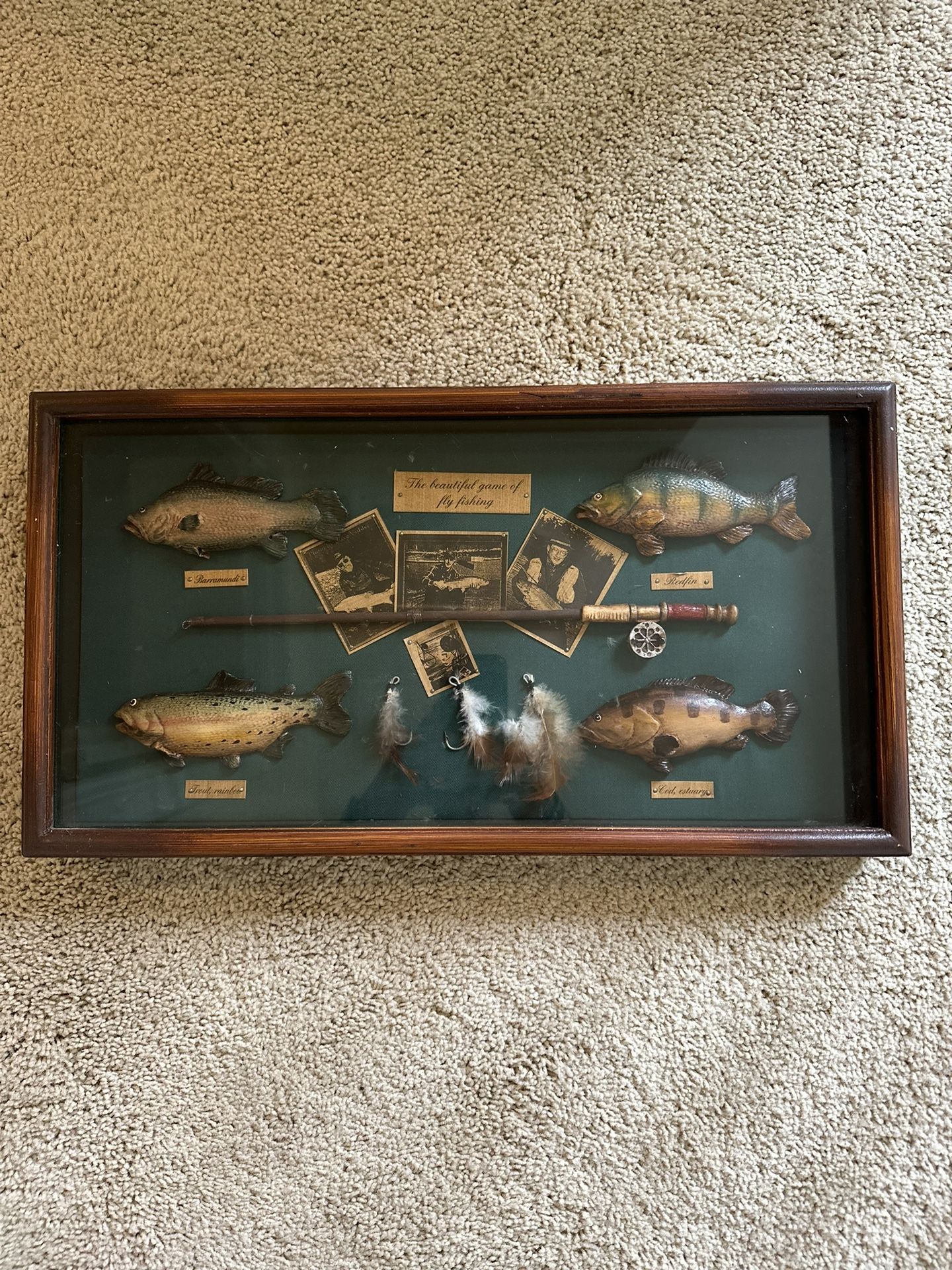 Fishing shadow box