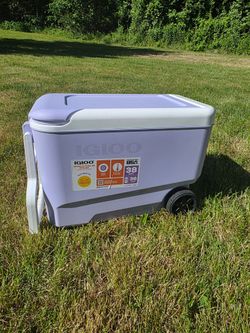 Igloo Sun Squad Lavender 38 Quart Rolling Cooler