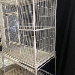 Bird Cage 
