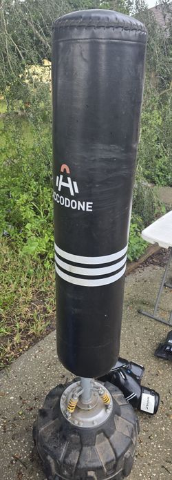 Punching Bag With Gloves