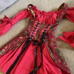 Ladies Halloween costume