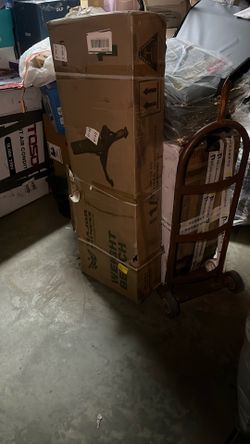 Major Fitness Weight Bench