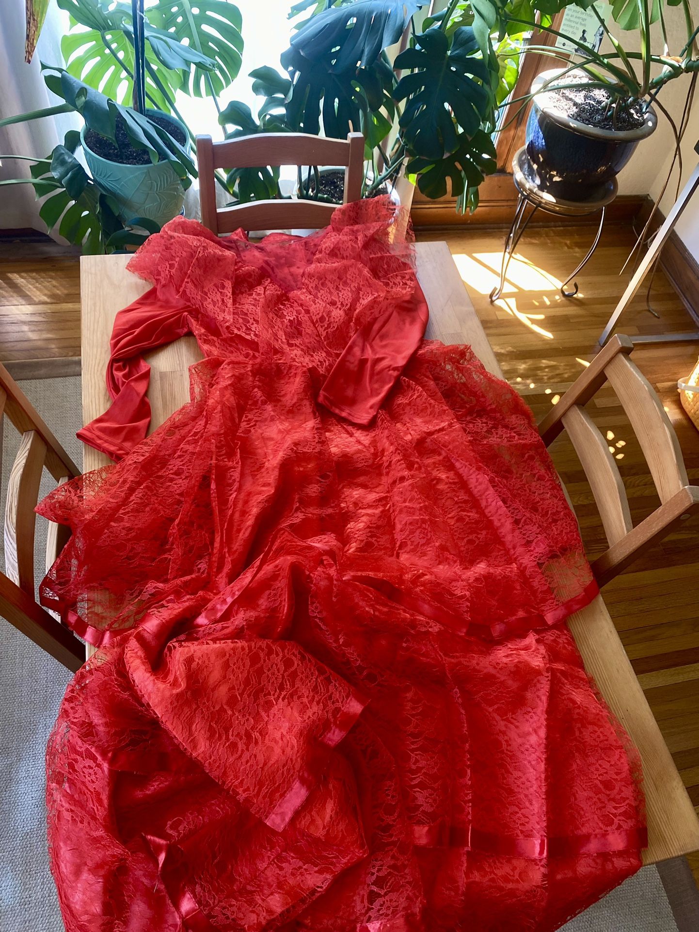 Lydia’s Wedding Dress with Hoop/Beetlejuice/Halloween 🎃