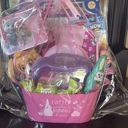 Paw patrol Easter Basket