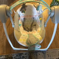 Baby Swing