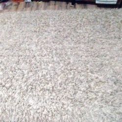 5×7 Area Rug