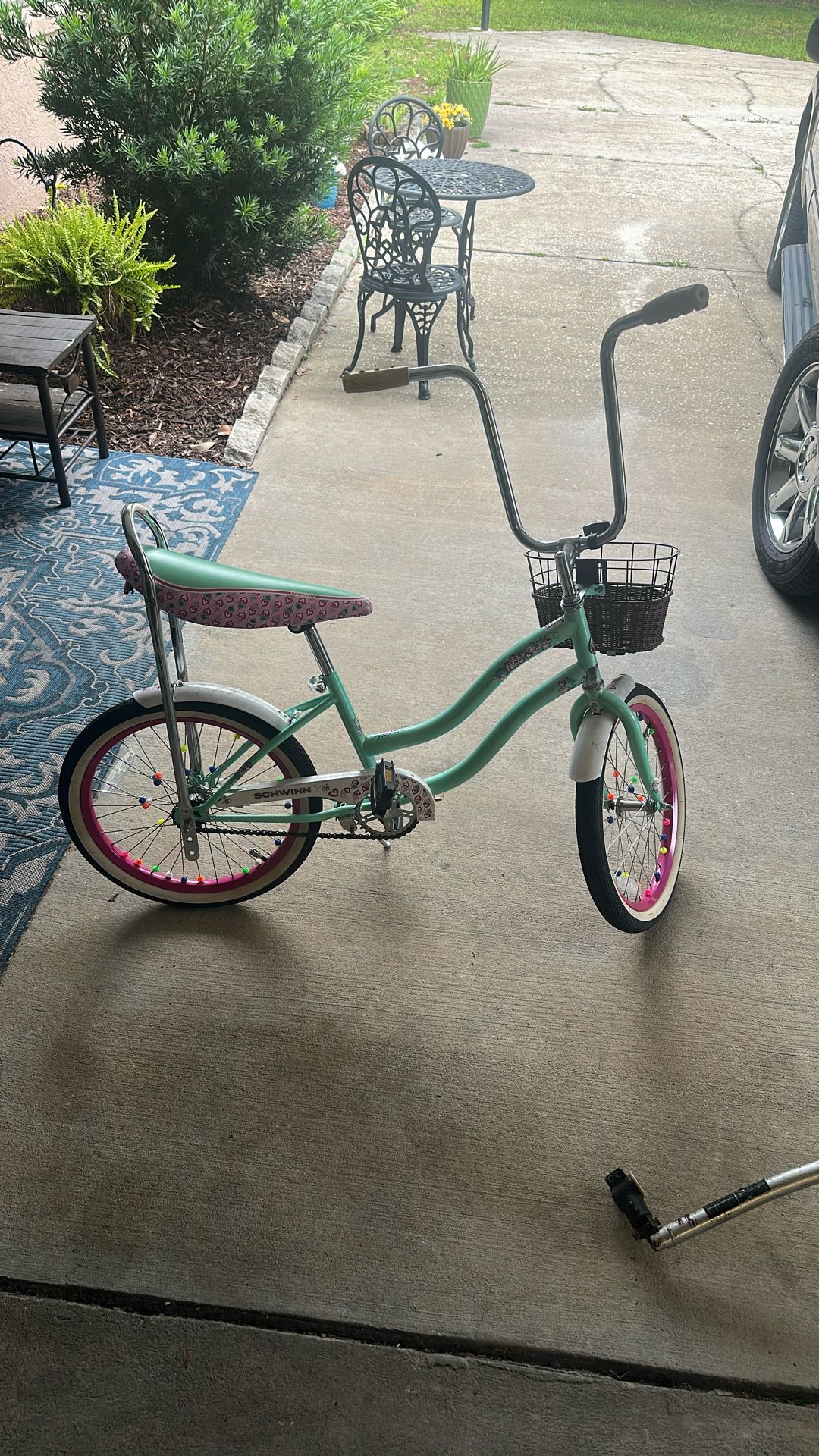 schwinn bike 20”
