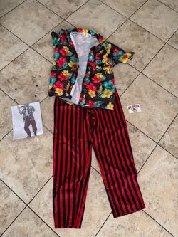 Halloween 👻 costume  ace ventura pet  pet detective size.l