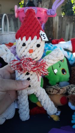 Pet toy with squeaker in it