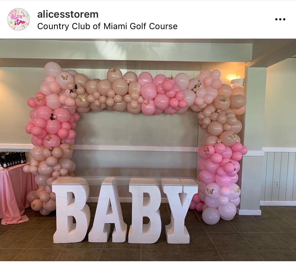 organic balloon arch /Baby Shower-birthday -party-decoration -Gender Reveal Party 