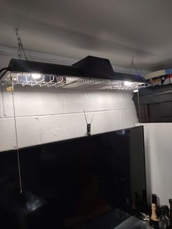 Light With Heater And Fan