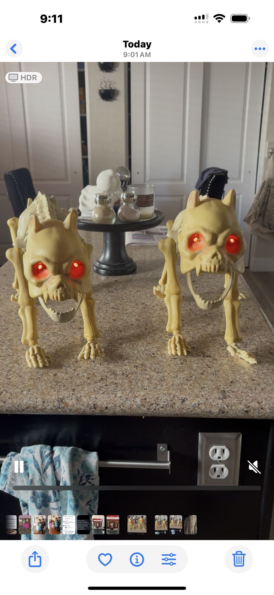 Realistic Creepy Canine BONES the Hungry DEAD ZOMBIE SKELETON PIT BULL DOG Skeletal Walking Dead Halloween Haunted House Circus Carnival Pet Cemetery 