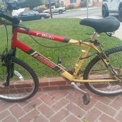 Older Electric Bike Available 