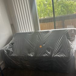 Black Couch & Strip Single Sofa