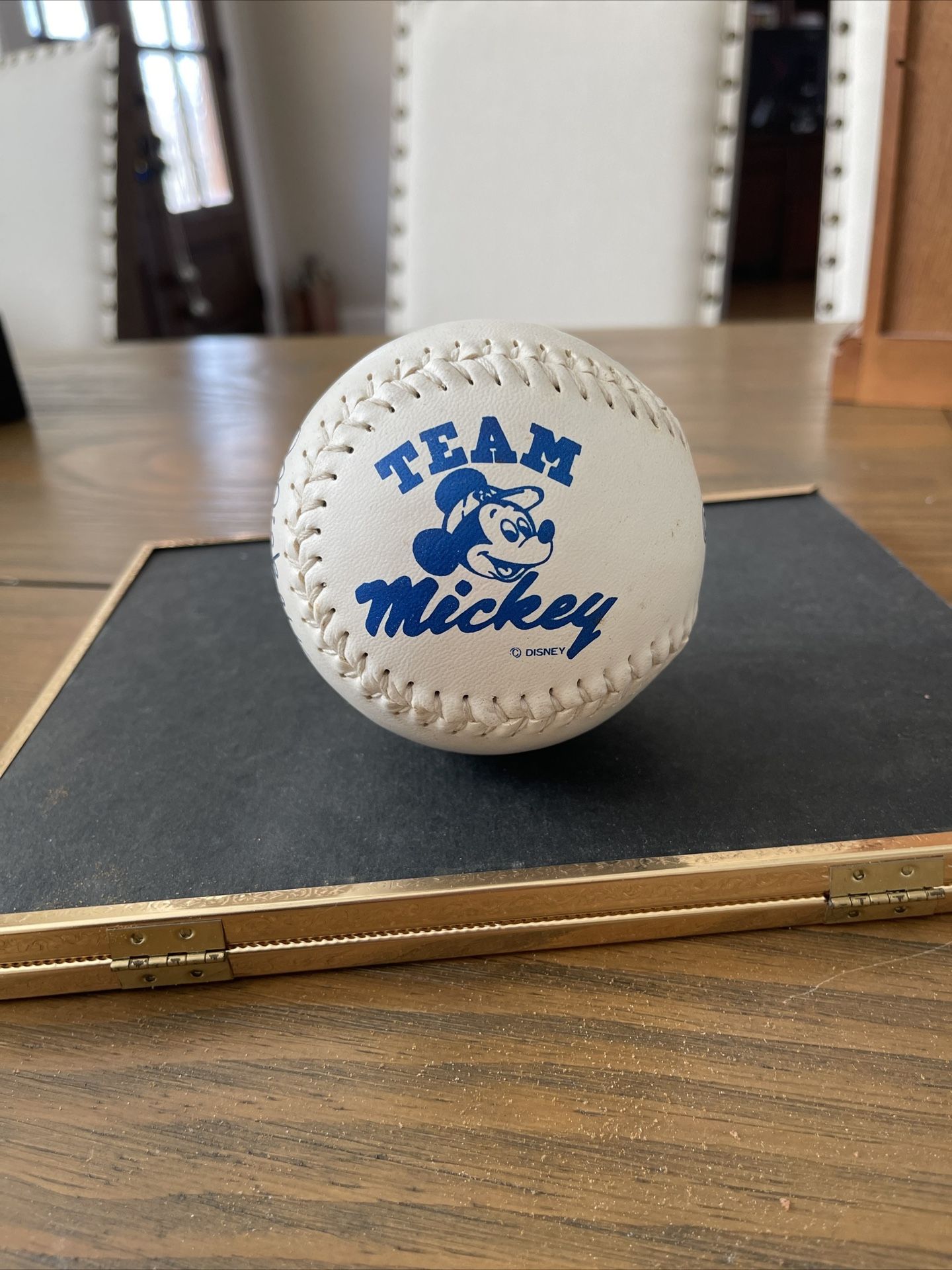 Walt Disney Team Mickey Printed Signatures Donald Pluto Goofy Softball Tub0