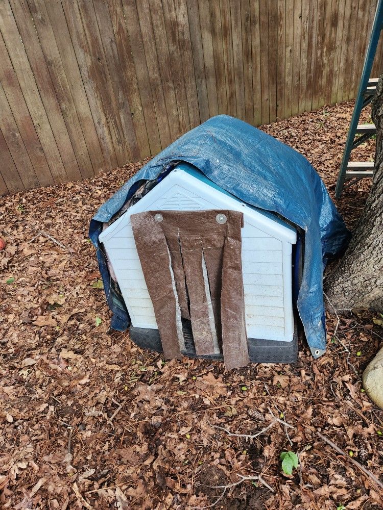 Medium Size Dog House And Cage