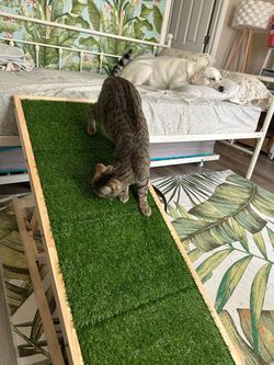 Pet Ramp