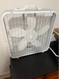 White Fan *Must go by 8/18/26*