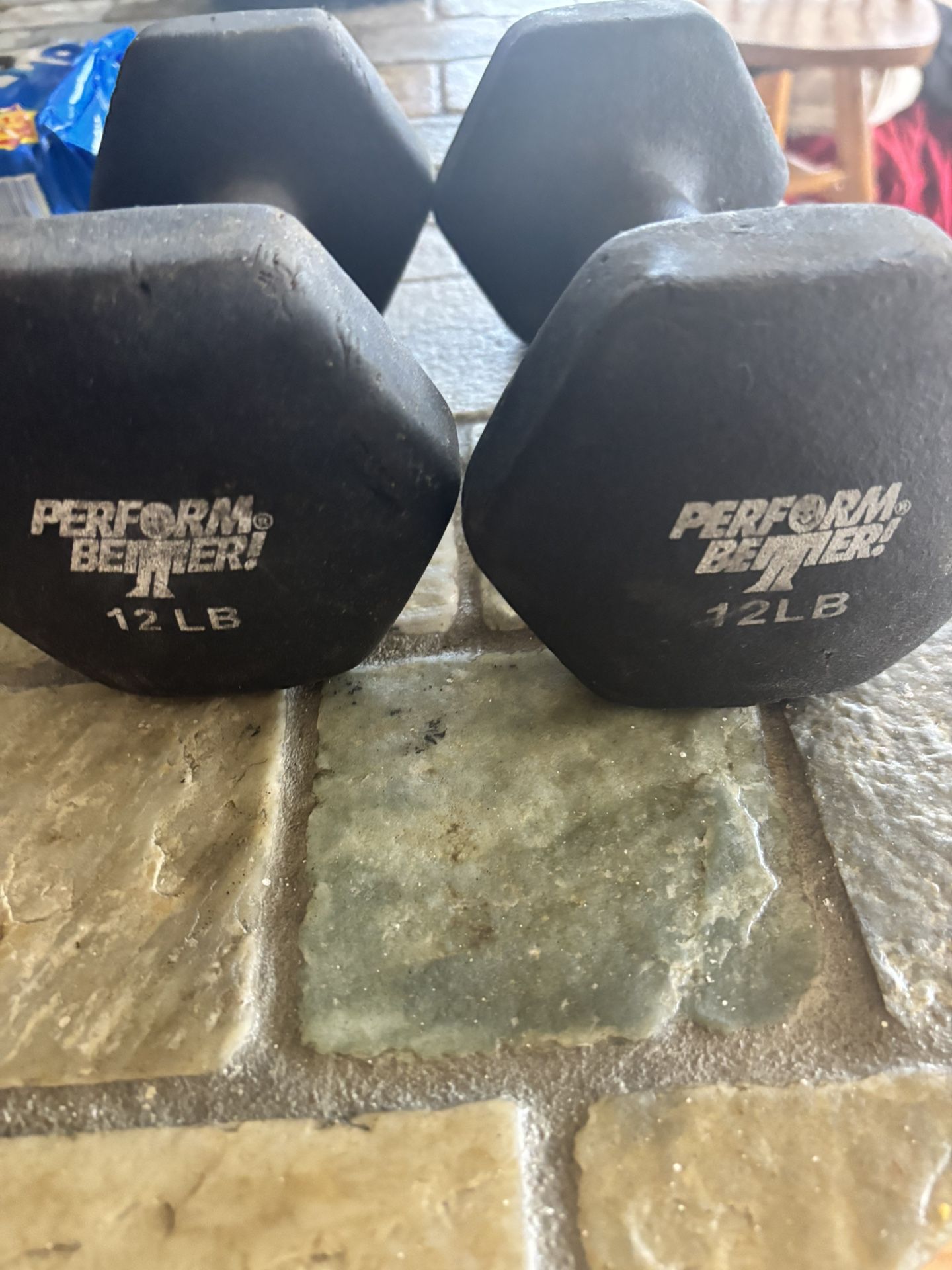 12 Pound Dumbbells