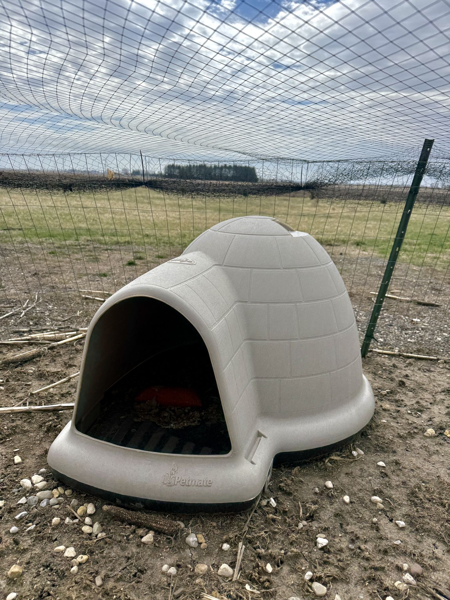 Large Dog Igloo for Sale in Dekalb, IL - OfferUp