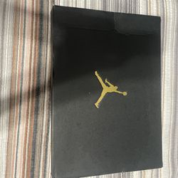 Air Jordan 11s