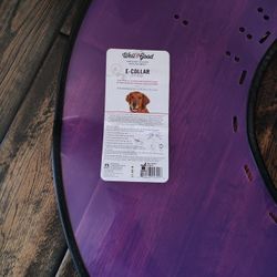 Dog  Post Surgery Collar 