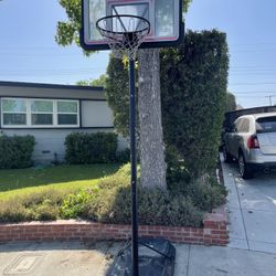 LIFETIME Basketball Hoop/Court