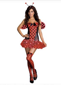 Ladybug costume