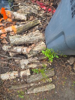 Free logs