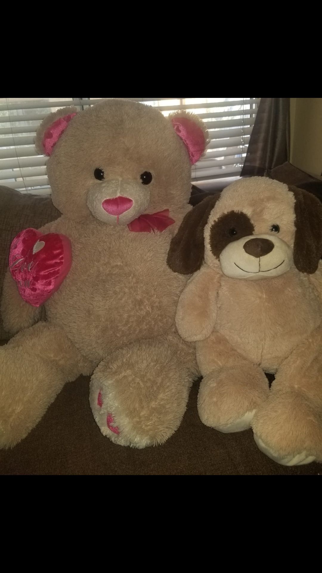 Teddy Bears