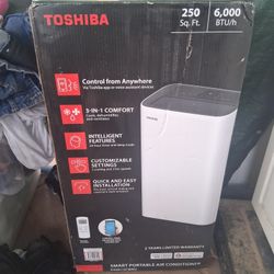Toshiba ac unit 6000 btu/h  250 sq ft. 3 in 1
