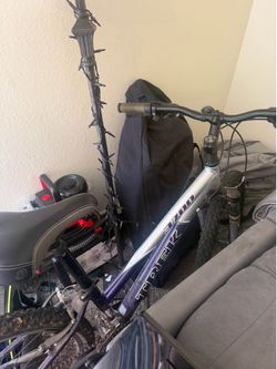Adult bike