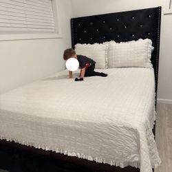 Bed frame & Mattresses 