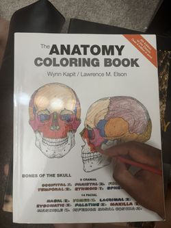 Anatomy Coloring Book
