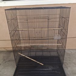 Bird Cage