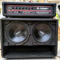 Peavey 160 watt Deltabass Head, custom  Cabine